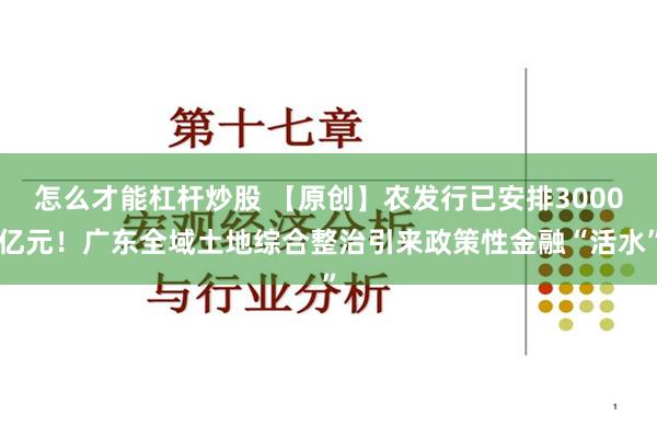 怎么才能杠杆炒股 【原创】农发行已安排3000亿元！广东全域土地综合整治引来政策性金融“活水”