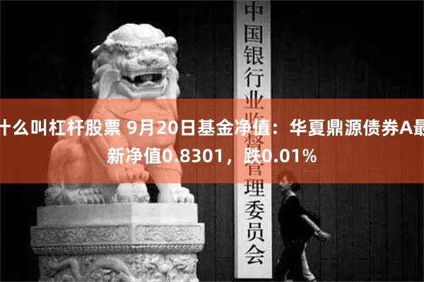 什么叫杠杆股票 9月20日基金净值：华夏鼎源债券A最新净值0.8301，跌0.01%