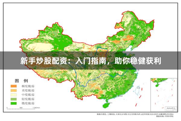 新手炒股配资：入门指南，助你稳健获利