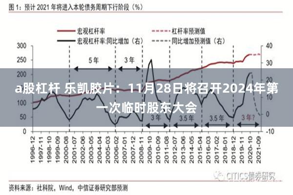 a股杠杆 乐凯胶片：11月28日将召开2024年第一次临时股东大会