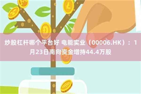 炒股杠杆哪个平台好 电能实业（00006.HK）：1月23日南向资金增持44.4万股