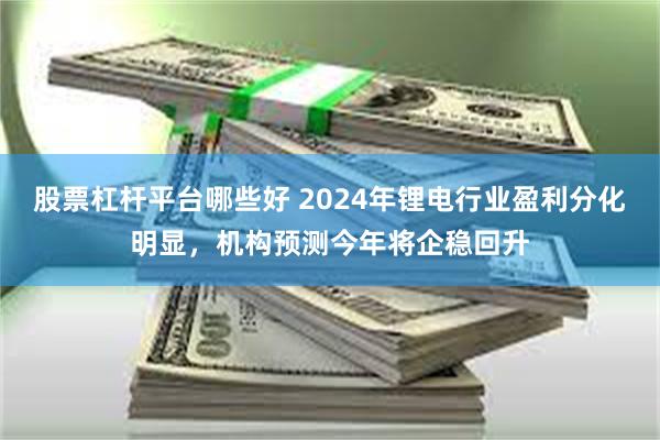 股票杠杆平台哪些好 2024年锂电行业盈利分化明显，机构预测今年将企稳回升