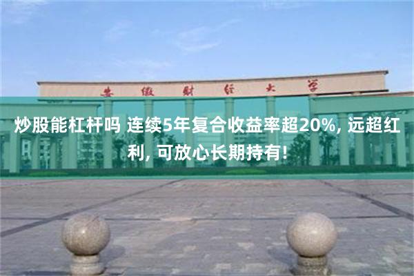 炒股能杠杆吗 连续5年复合收益率超20%, 远超红利, 可放心长期持有!