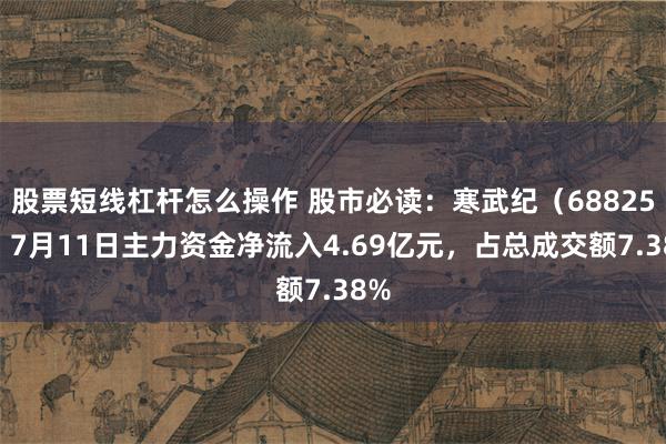股票短线杠杆怎么操作 股市必读：寒武纪（688256）7月11日主力资金净流入4.69亿元，占总成交额7.38%