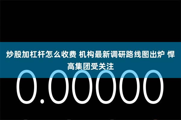 炒股加杠杆怎么收费 机构最新调研路线图出炉 悍高集团受关注