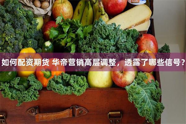 如何配资期货 华帝营销高层调整，透露了哪些信号？